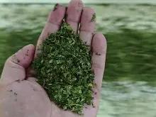 €蝈Ml杉9\蕺8碾.毞碿fX匾聤M?鹺ts??壠(蝈蝻啥意思)-开云官方网站