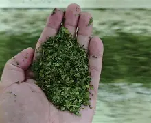 €蝈Ml杉9蕺8碾.毞碿fX匾聤M?鹺ts??壠(蝈蝻啥意思)